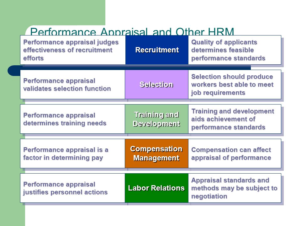 Employee Performance Management Assessment MSC HRM essay